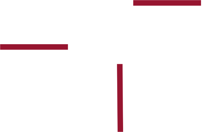 Consulenza
